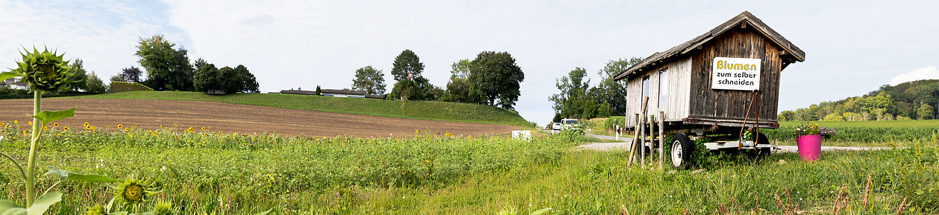 Herrliberg-2024-378